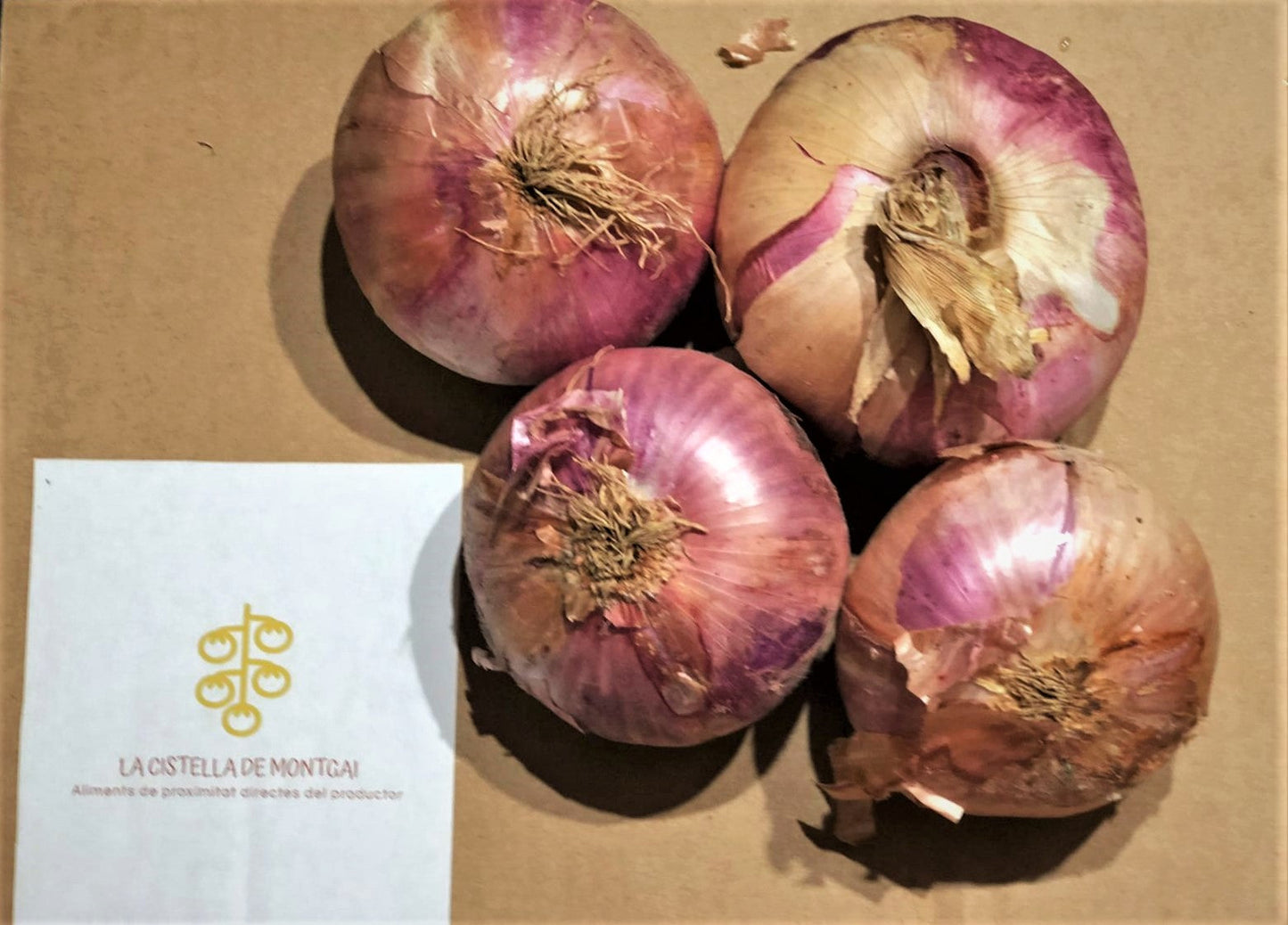 la-cistella-de-montgai-ceba-figueres