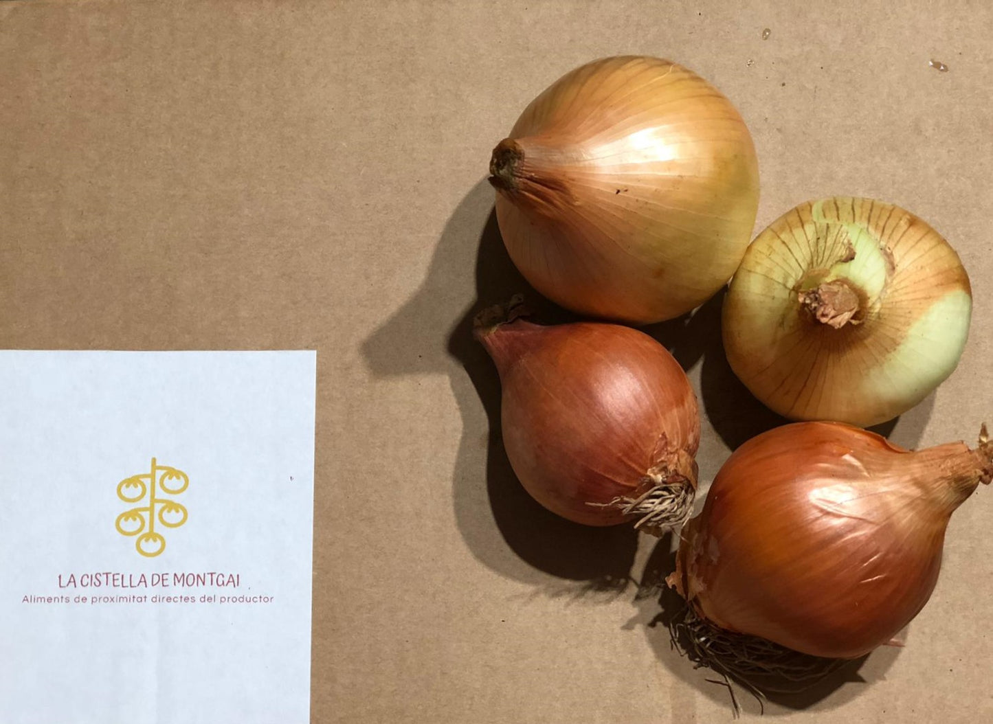 Ceba Valenciana | Preu x 0,5 kg.
