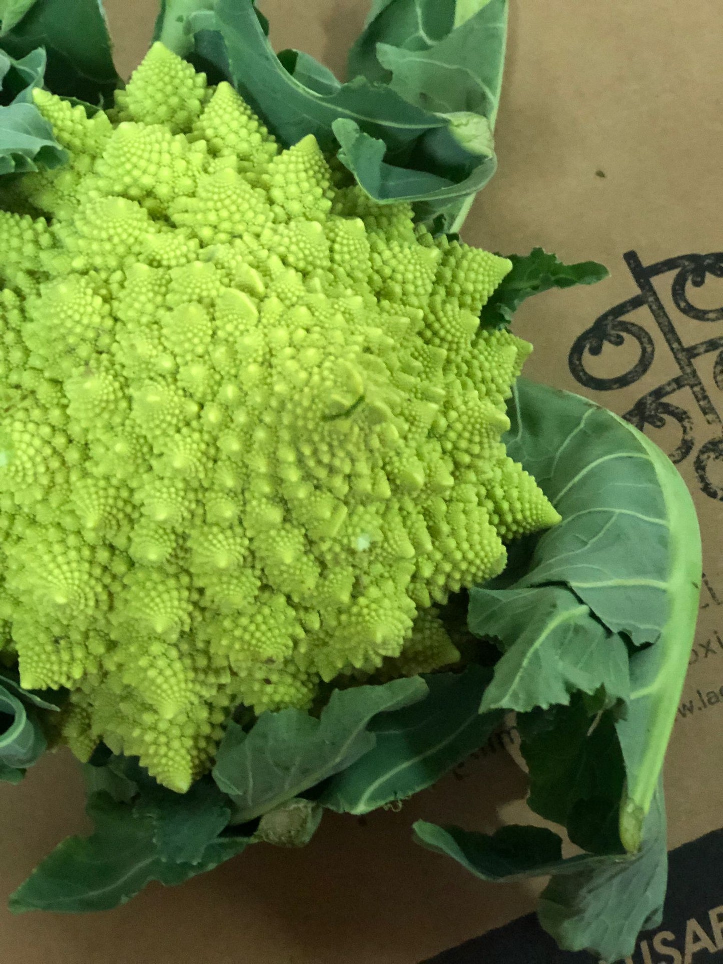 la-cistella-de-montgai-broquil-romanesco