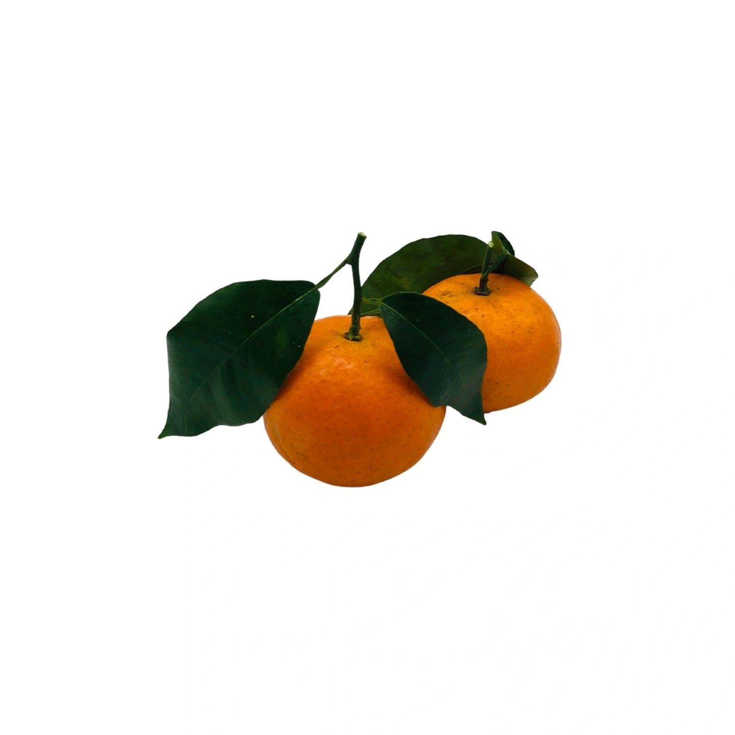 Mandarina | Preu x 0,5 kg.