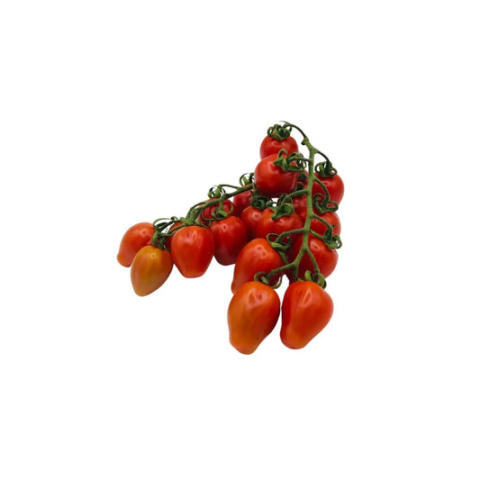 Tomàquet Xerri