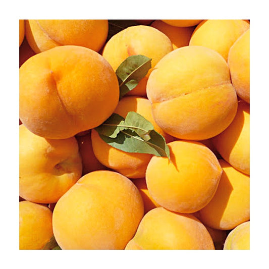 Préssec Groc I Preu per 0,5 Kg
