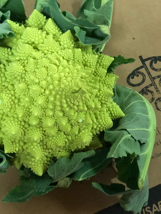 la-cistella-de-montgai-broquil-romanesco