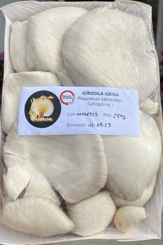 la-cistella-de-montgai-girgola-gris