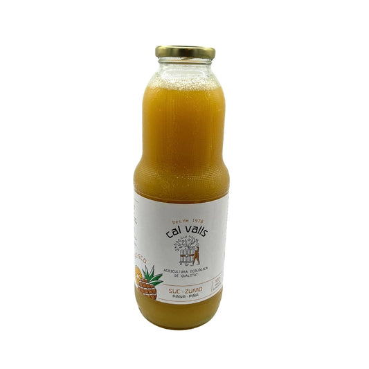 la-cistella-de-montgai-suc-pinya