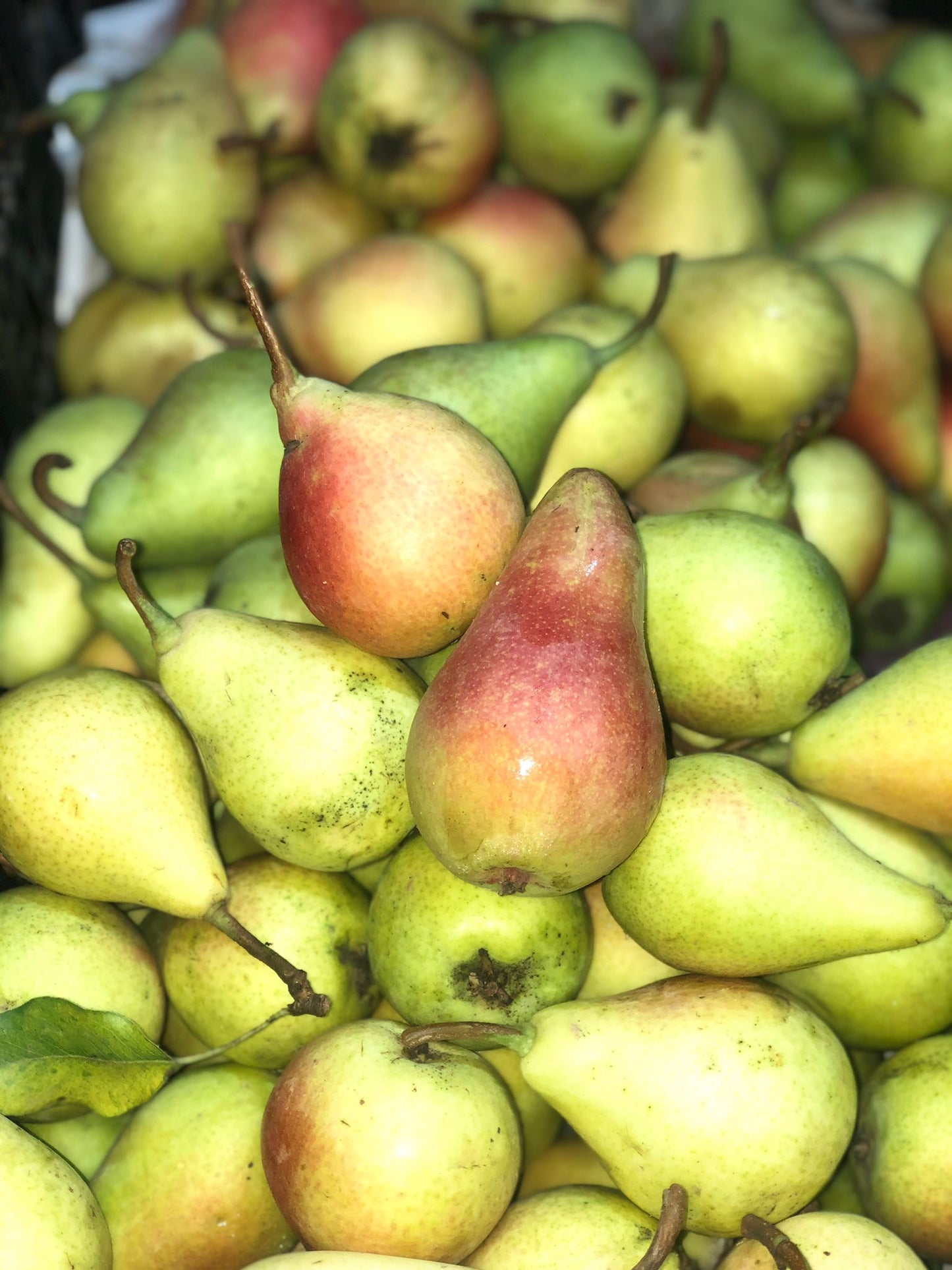 Pera Ercolini I Preu per 0,5 Kg